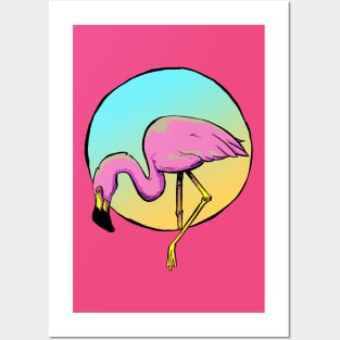 Flamingo Posters and Art